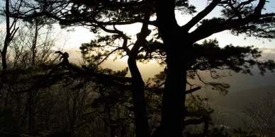 1 Victory Chapel Christian Center Exterior View